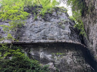 Deep narrow Pokljuka Gorge in Slovenia surrounded by steep cliffs, dense forest, and hiking trails.