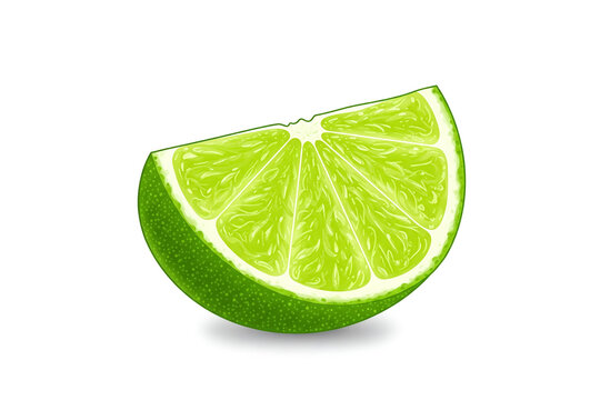 A slice of green juicy fresh lime isolated on white background as vector image.