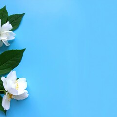 Fototapeta premium Floral arrangement close-up nature photography studio aesthetic beauty