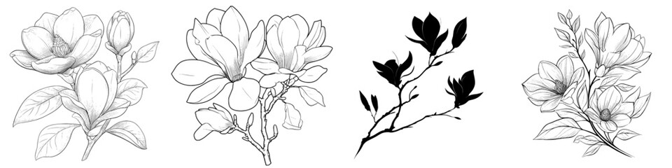 A contemporary black outline of magnolia flowers set against a white background