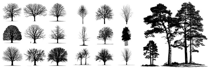 Collection of authentic contemporary tree silhouettes set against a white backdrop