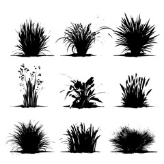 Modern black silhouettes of forest, bush, grass, jungle, and greenwood are set against a white background, highlighting nature's plants