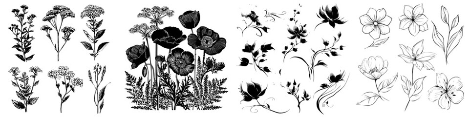 A collection of hand-drawn wildflowers, featuring outline flower and plant silhouettes, created using brush and ink painting techniques, in black on a modern white background