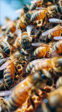 Bustling bees inside honeycomb working together to create sweetness.