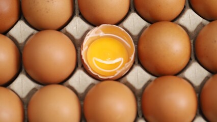 Eggs are the best protein and are inexpensive and readily available