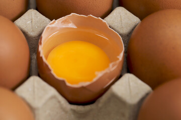 Eggs are the best protein and are inexpensive and readily available