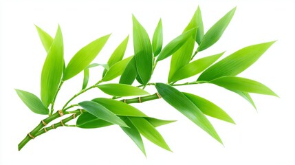 Fototapeta premium A captivating close-up highlights the refined beauty of fresh bamboo stalks, which are adorned with lush green leaves and embody the qualities of resilience and tranquility