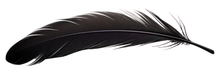 PNG Single of black feather white background lightweight accessories.