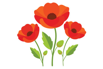 Beautiful Poppy Flowers Vector Simple Elements Illustration for Floral Artwork Clipart