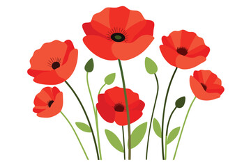 Fototapeta premium Beautiful Poppy Flowers Vector Simple Elements Illustration for Floral Artwork Clipart