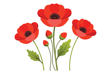 Obraz premium Beautiful Poppy Flowers Vector Simple Elements Illustration for Floral Artwork Clipart