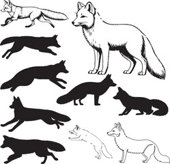 Fox Silhouettes – Solid Black & Outline Vector Set