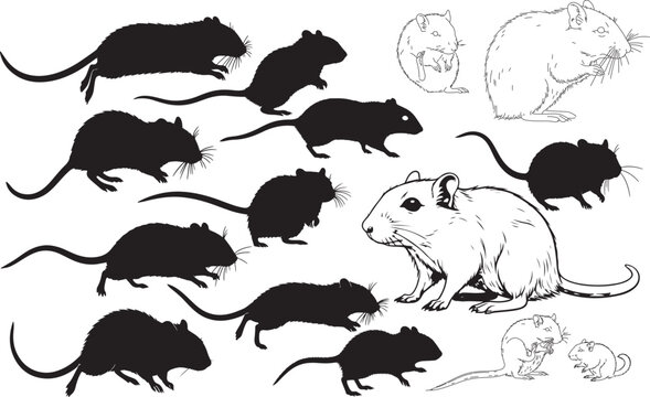 Gerbil Silhouettes – Solid Black & Outline Vector Set