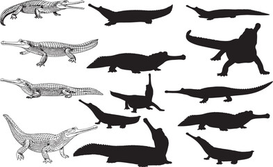 Gharial Silhouettes – Solid Black & Outline Vector Set