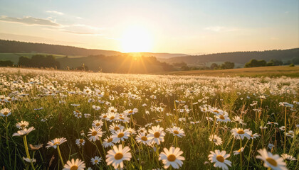 Fototapeta premium Expansive field of delicate daisies under a gentle breeze with soft pastel hues stretching into the horizon