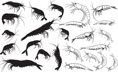 Krill Silhouettes – Solid Black & Outline Vector Set