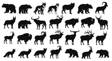 North American Wildlife Species A Survey Of Some of the Most Majestic Animals