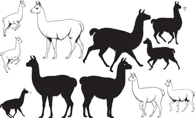 Llama Silhouettes – Solid Black & Outline Vector Set