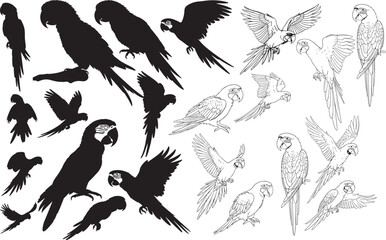 Macaw Silhouettes – Solid Black & Outline Vector Set
