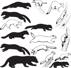 Marten Silhouettes – Solid Black & Outline Vector Set