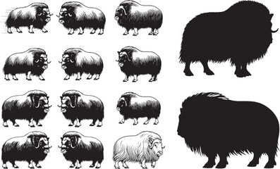 Muskox Silhouettes – Solid Black & Outline Vector Set
