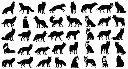 Collection of Silhouetted Canidae Represents a Diverse Group of Foxes Wolves and Dogs