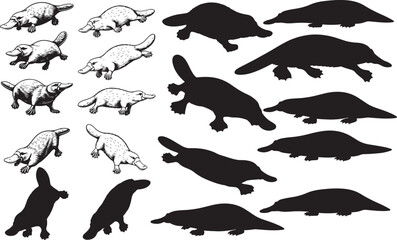 Platypus Silhouettes – Solid Black & Outline Vector Set