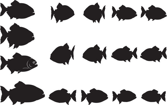 Piranha Silhouettes – Solid Black & Outline Vector Set