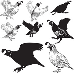 Quail Silhouettes – Solid Black & Outline Vector Set