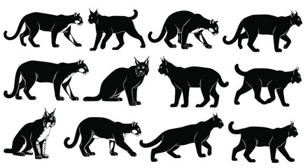 The Enigmatic World of Felines Understanding Anatomy Behavior and Ecology Across Twelve Distinct Silhouettes