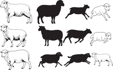 Sheep Silhouettes – Solid Black & Outline Vector Set