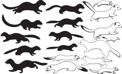 Stoat Silhouettes – Solid Black & Outline Vector Set