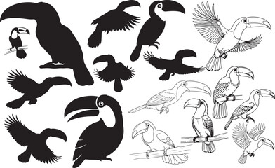Toucan Silhouettes – Solid Black & Outline Vector Set