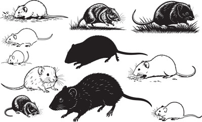 Vole Silhouettes – Solid Black & Outline Vector Set