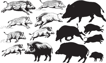 Wild Boar Silhouettes – Solid Black & Outline Vector Set
