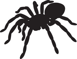 black spider on white background