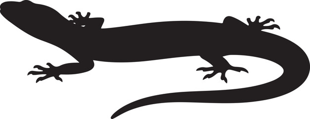 silhouette of a lizard