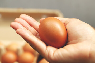 Eggs are the best protein and are inexpensive and readily available