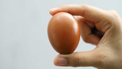 Eggs are the best protein and are inexpensive and readily available