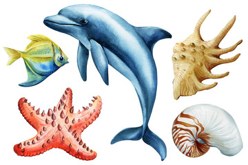 Watercolor Dolphin Starfish and Shells Clipart Set Tropical Ocean Animals and Sea Life Illustration for summer design