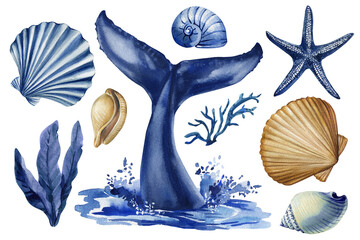 Watercolor Blue Whale Tail and Shells Clipart Set Marine Ocean Life with Coral and Seaweed. marine elements, ocean decor, sea, 