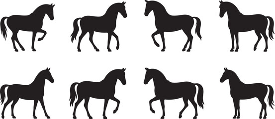 Herd of horses gallops fast. Image silhouette. Wild and domestic animals. Isolated on white background. Vector