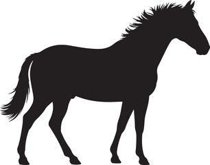 Herd of horses gallops fast. Image silhouette. Wild and domestic animals. Isolated on white background. Vector