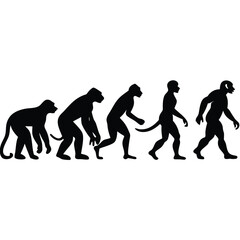 Animal Evolution Sequence Illustration