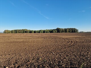 Freshly Plowed Field with Forest in the Background