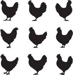 set of chicken