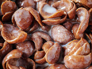 Close-up of Chocolate corn flakes with milk, macro