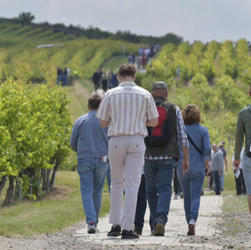 bechtolsheimer weinwanderung 2025