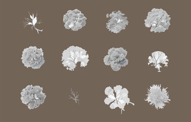 Monochrome Tree Top View Vector Illustration for Architectural Landscape Design Site Plan and Urban Planning Projects on a Brown Background