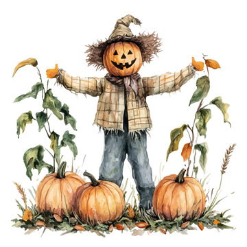 Pumpkin Patch With Scarecrow, watercolor drawing vector, isolated on a white background.
